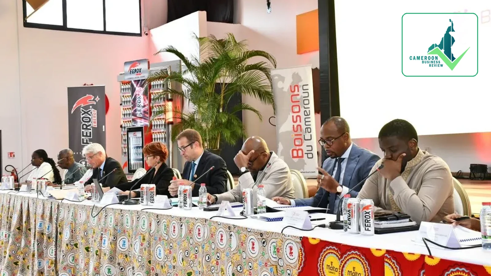 Boissons du Cameroun, Guinness Merger Explained